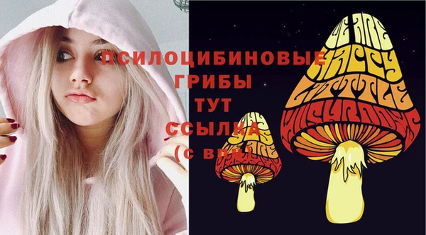 сатива Зерноград