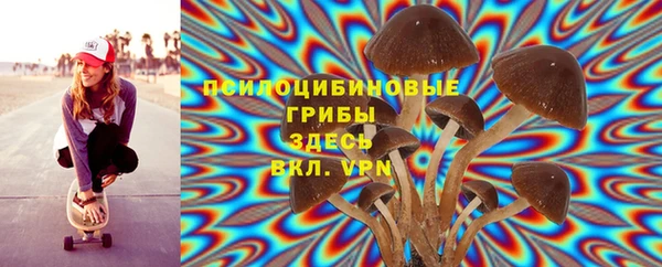 сатива Зерноград