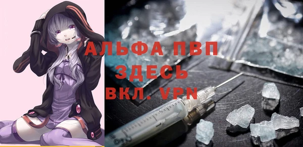 сатива Зерноград