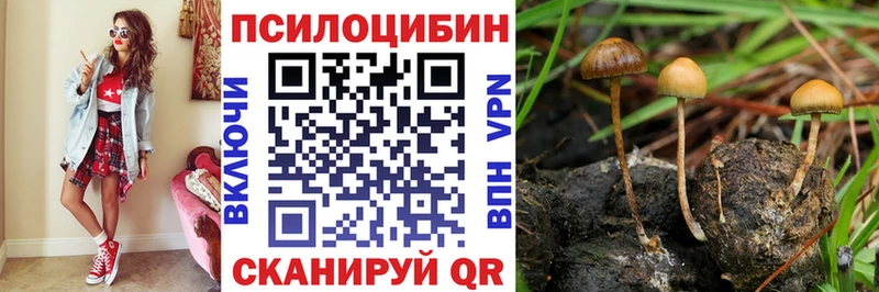 Псилоцибиновые грибы ЛСД  Купить где  Заринск 